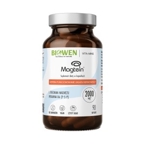 Biowen Treonian Magnezu Magtein 90 caps.