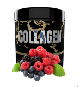 Activlab Horizon Collagen 300 g Forest Fruits