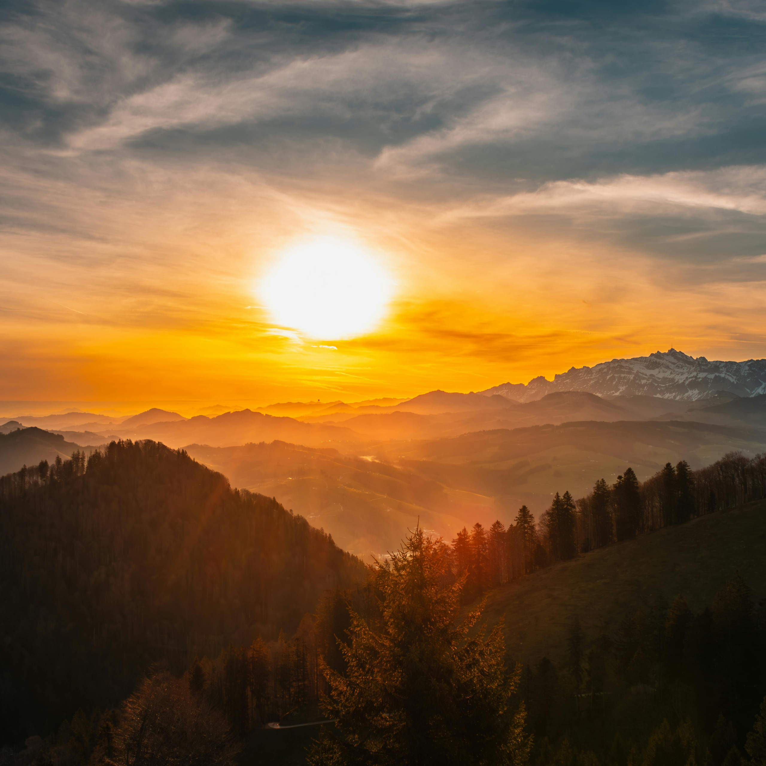 Witamina D - Czy warto ją suplementować?